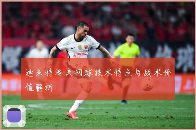 迪米特洛夫网球技术特点与战术价值解析